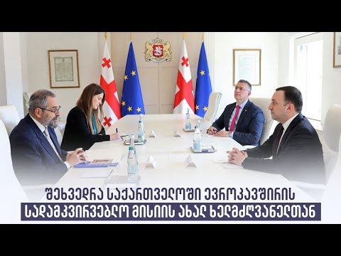 შეხვედრა საქართველოში ევროკავშირის სადამკვირვებლო მისიის ახალ ხელმძღვანელთან